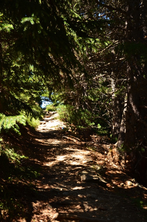 2015-07 Savoie/Orgère/DSC_0428.JPG